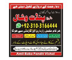 Parents Aproval For Your Love Marriage, Intercaste Marriage Pandit Vishal Help In All Type Of Your P