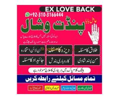Parents Aproval For Your Love Marriage, Intercaste Marriage Pandit Vishal Help In All Type Of Your P - Kép 3/12