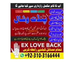 Parents Aproval For Your Love Marriage, Intercaste Marriage Pandit Vishal Help In All Type Of Your P - Kép 12/12