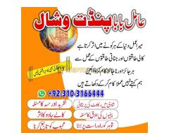 Kalajaduforlove #Online #kala jadu #expert for #American #professional#AmilaBaji Amil Baba in Karach - Kép 6/12