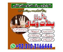 Kalajaduforlove #Online #kala jadu #expert for #American #professional#AmilaBaji Amil Baba in Karach - Kép 7/12