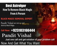 #vashikaranspecialist #astrologer #palmistry #amliyaat #taweez #manpasandshadi #horoscope #spiritual - Kép 3/12