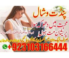 #vashikaranspecialist #astrologer #palmistry #amliyaat #taweez #manpasandshadi #horoscope #spiritual - Kép 6/12