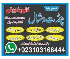 #vashikaranspecialist #astrologer #palmistry #amliyaat #taweez #manpasandshadi #horoscope #spiritual - Kép 7/12