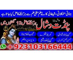 #vashikaranspecialist #astrologer #palmistry #amliyaat #taweez #manpasandshadi #horoscope #spiritual - Kép 10/12