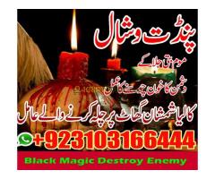 #vashikaranspecialist #astrologer #palmistry #amliyaat #taweez #manpasandshadi #horoscope #spiritual - Kép 11/12