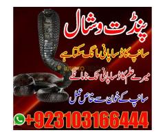 #vashikaranspecialist #astrologer #palmistry #amliyaat #taweez #manpasandshadi #horoscope #spiritual - Kép 12/12