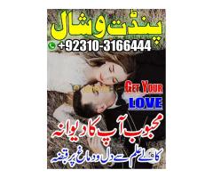 Amil Baba Magic expert Best Amil Baba in Qatar  | Kala Jadu + Evil Eye Protection  #Astrologer in Sh