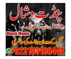 Amil Baba Magic expert Best Amil Baba in Qatar  | Kala Jadu + Evil Eye Protection  #Astrologer in Sh - Kép 10/12