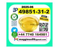 BMK PMK 1451-82-7  source factory  best quality