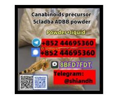 5cladba 5c 5cl-adba 5CL-ADBA precursors 5cladba Adbb 5CLADBA 5CL-ADBA