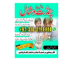 Asli Online Amil Baba in Qatar Dubai London Canada +923103166444 #kalajadu #kalaila - Kép 11/12