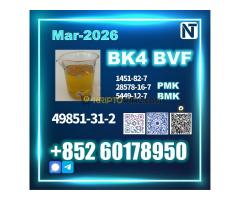 BVF 49851-31-2 Source factory - Kép 5/10