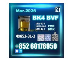 BVF 49851-31-2 Source factory - Kép 10/10