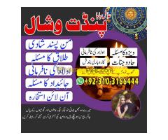 Best No Love Marriagespell AmilBaba in London kalailam Blackmagic white magic baba in USA UAE - Kép 12/12