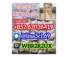 Medetomidine Opioids R6890 porto