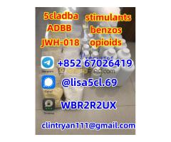 High purity 5-Bromo-1-pentene CAS 1119-51-3 factory price