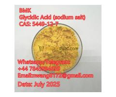 Hot sale BMK Glycidic  Acid (sodium salt) powder 5449-12-7 BMK PMK source factory