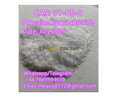 Source factory 51-05-8 bmk pmk Procaine hydrochloride Novocaine / Novocain / Novocaine hydrochloride