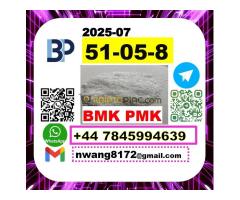 Source factory 51-05-8 bmk pmk Procaine hydrochloride Novocaine / Novocain / Novocaine hydrochloride