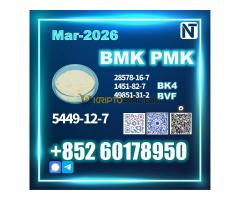 5449-12-7 bmk pmk source factory safe delivery - Kép 8/10