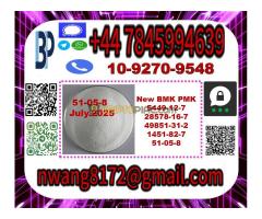 51-05-8 Procaine hydrochloride Novocaine  / Novocaine hydrochloride 51-05-8 - Kép 10/10