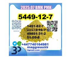 BMK PMK 5449-12-7 glycidic acid factory safe delivery