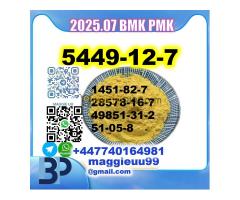 BMK PMK 5449-12-7 glycidic acid factory safe delivery - Kép 7/7