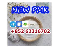HOT SALE – PREMIUM CHEMICAL ???? 1,3-Benzodioxole-5-acetic acid, α-acetyl-, methyl ester/New PMK CAS