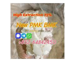 supply new pmk powder bmk powder factory price