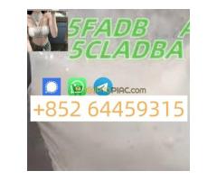5cladbb User Profile - Kép 4/5