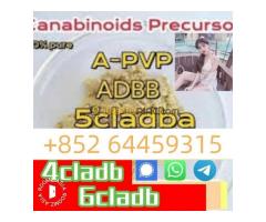 5cladbb User Profile - Kép 5/5