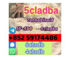 USD 5, High Purity Orange Powder 6cladb 5cladb 4cladb 4fadb Low Price