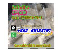 Supply high quality 5cladba CAS 2709672-58-0 Adbb  whatsapp/telegram：+852 68133791