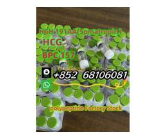 Factory direct sales, high quality peptide freeze-dried powder, low price sales   whatsapp：+852  681