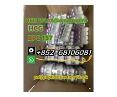 Factory direct sales, high quality peptide freeze-dried powder, low price sales   whatsapp：+852  681 - Kép 3/6