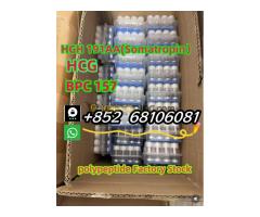 Factory direct sales, high quality peptide freeze-dried powder, low price sales   whatsapp：+852  681 - Kép 4/6