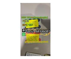 Factory direct sales, high quality peptide freeze-dried powder, low price sales   whatsapp：+852  681 - Kép 5/6