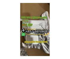 Factory direct sales, high quality peptide freeze-dried powder, low price sales   whatsapp：+852  681 - Kép 6/6