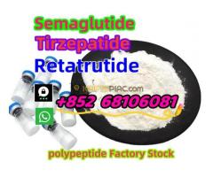 Hot Selling Peptide Weight Loss Peptide  CAS 910463-68-2 Semaglutide  whatsapp：+852  68106081 - Kép 4/7