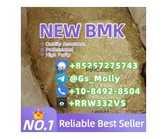 Premium B M K Glycidate Powder 5413-05-8 Reliable Supplier for Research