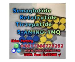 Semaglutide Retatrutide 5-AMINO-1MQ