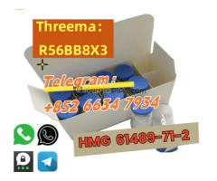+852 66347934 HMG CAS：61489-71-2