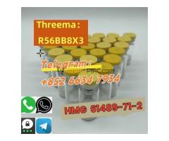 +852 66347934 HMG CAS：61489-71-2 - Kép 4/4