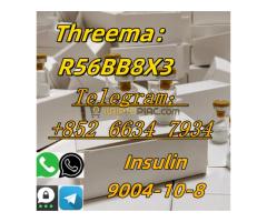 +852 66347934 Insulin 9004-10-8 low price - Kép 4/4
