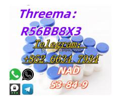 +852 66347934 NAD CAS：53-84-9