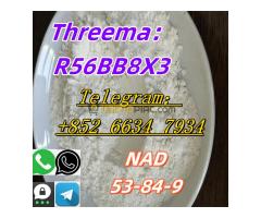 +852 66347934 NAD CAS：53-84-9
