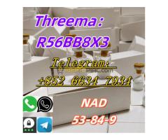 +852 66347934 NAD CAS：53-84-9 - Kép 4/6