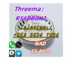+852 66347934 NAD CAS：53-84-9 - Kép 5/6