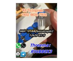+852 66347934 HGH 191AA(Somatropin） 12629-01-5